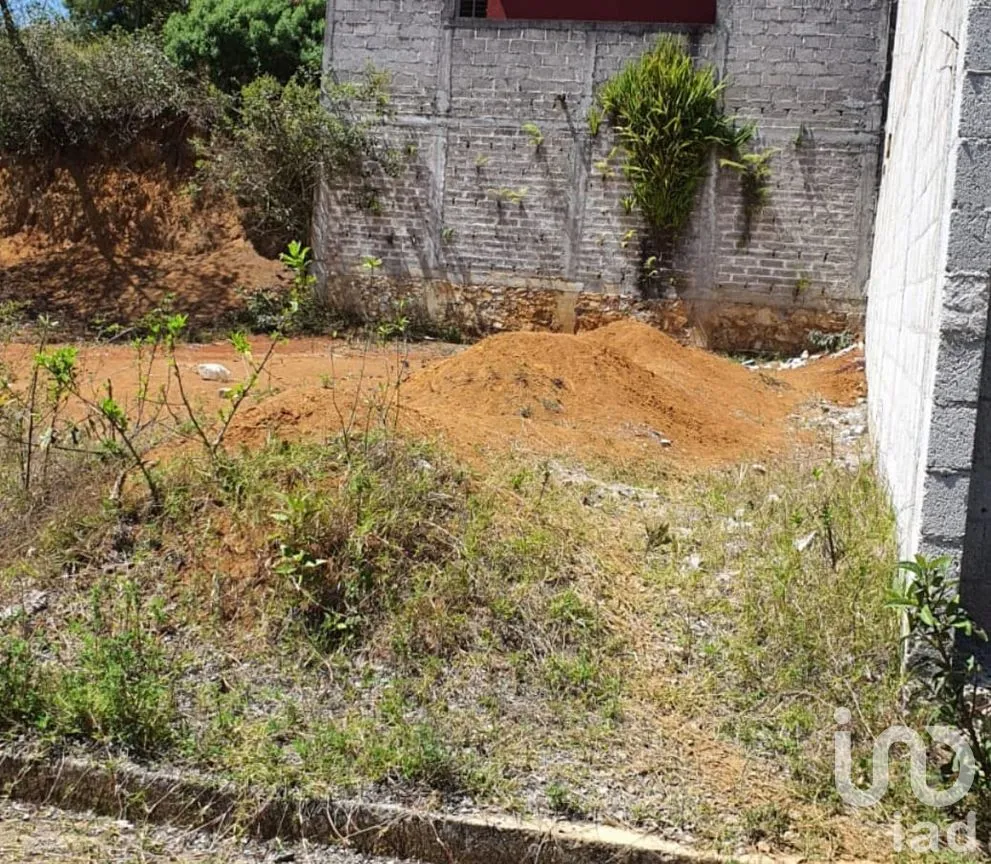 Terreno en Renta en La Palpa, Huauchinango, Puebla | NEX-218425 | iad México | Foto 5 de 5