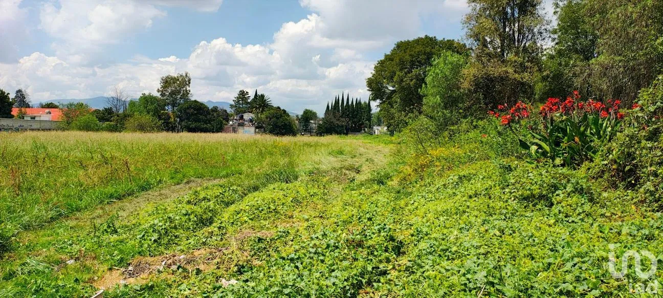 Terreno en Venta en Santiago, Teoloyucan, México | NEX-257281 | iad México | Foto 2 de 24