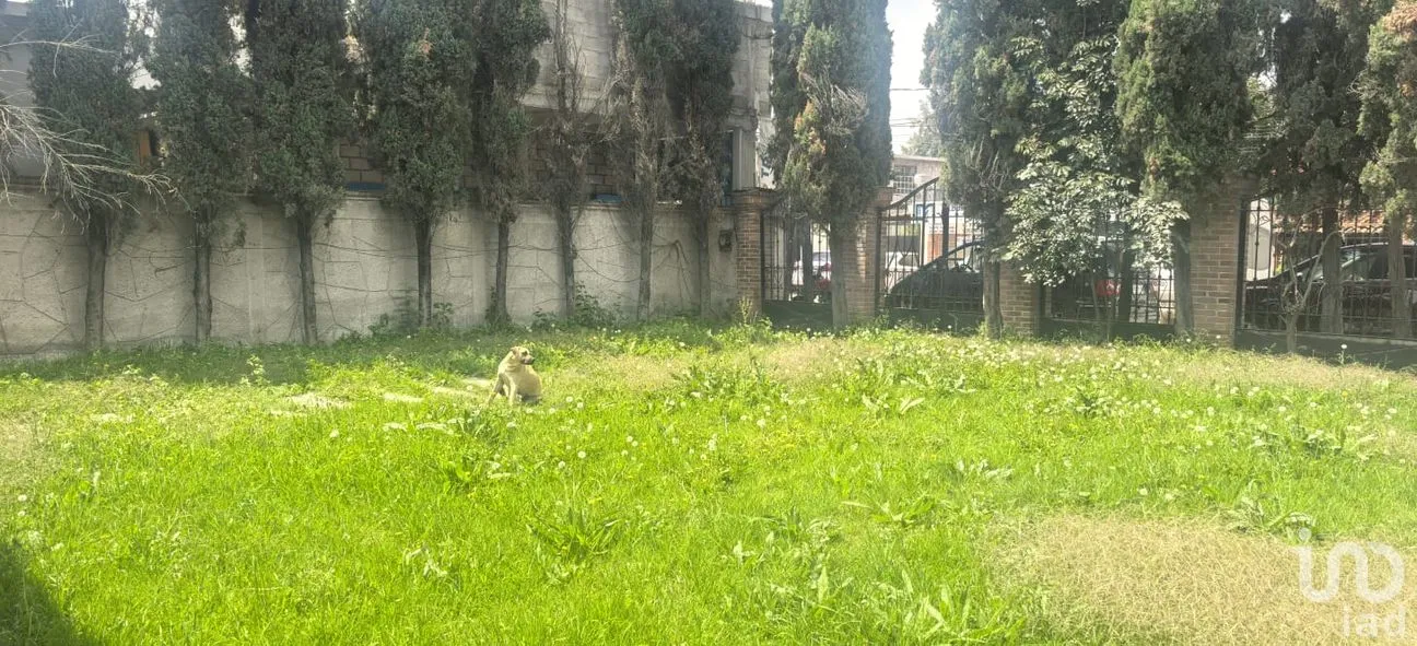 Terreno en Venta en Santiago, Teoloyucan, México | NEX-257281 | iad México | Foto 3 de 24