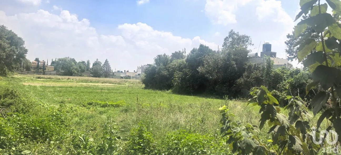 Terreno en Venta en Santiago, Teoloyucan, México | NEX-257281 | iad México | Foto 6 de 24