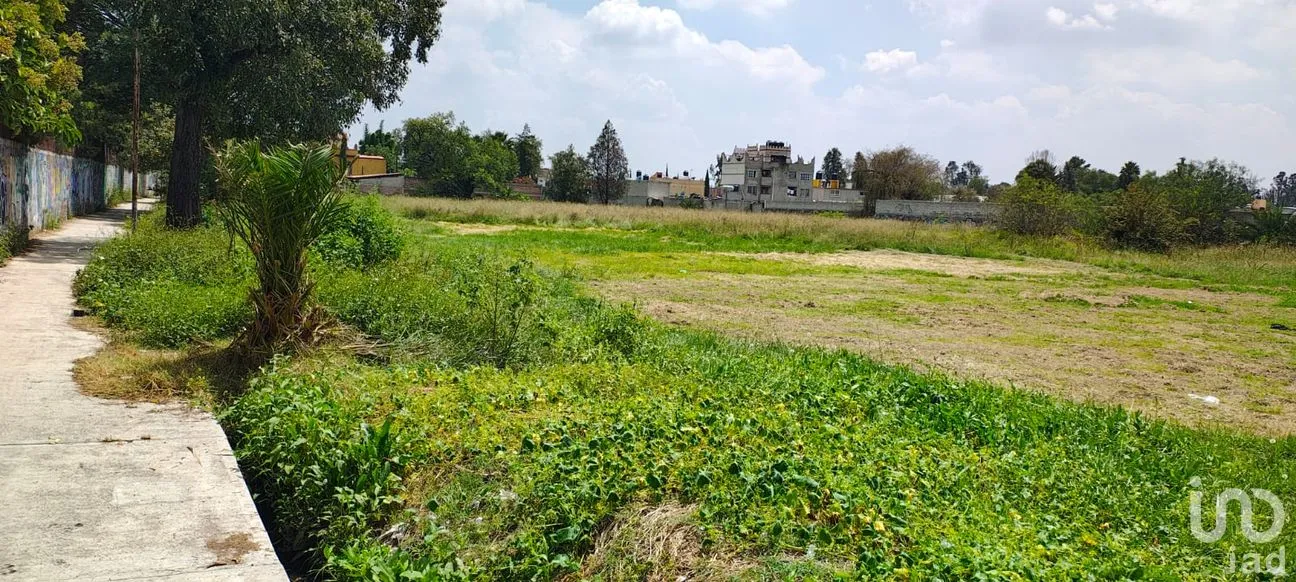 Terreno en Venta en Santiago, Teoloyucan, México | NEX-257281 | iad México | Foto 7 de 24