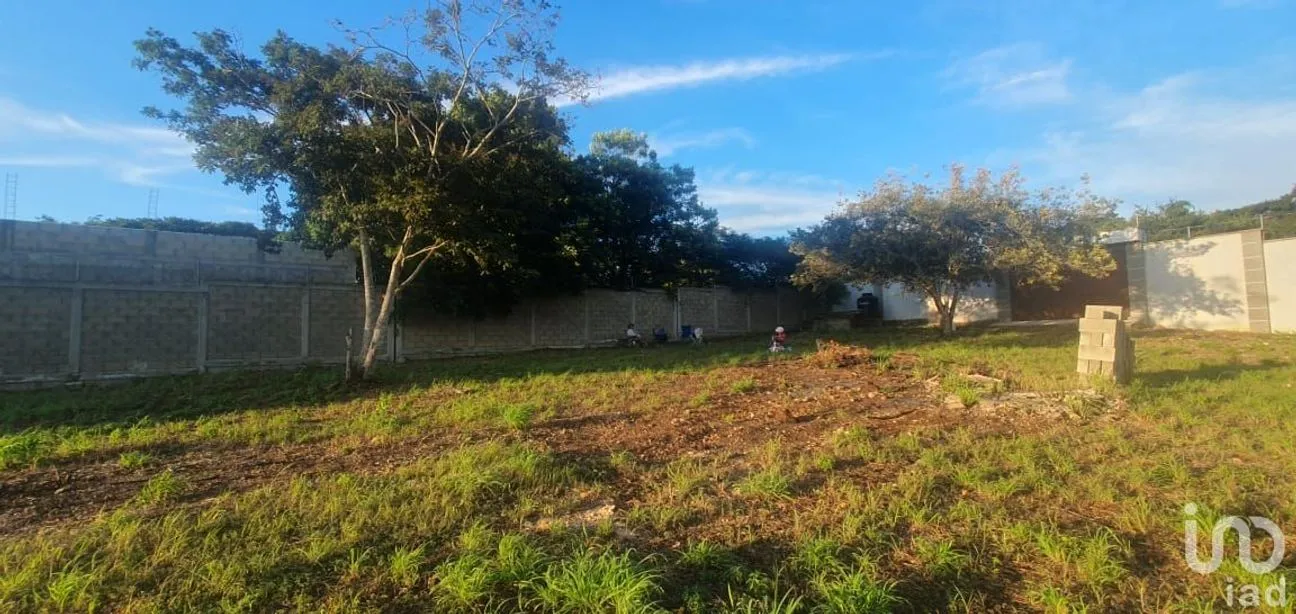 Terreno en Venta en Berriozabal Centro, Berriozábal, Chiapas | NEX-235259 | iad México | Foto 4 de 10