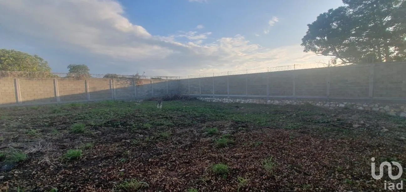 Terreno en Venta en Berriozabal Centro, Berriozábal, Chiapas | NEX-235259 | iad México | Foto 6 de 10
