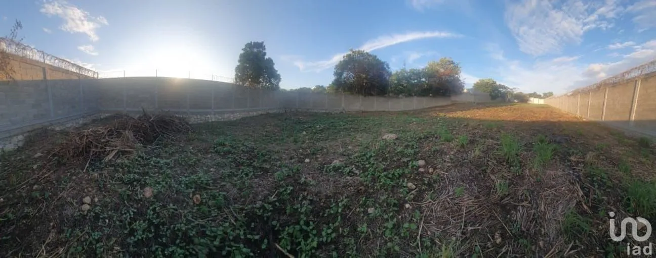 Terreno en Venta en Berriozabal Centro, Berriozábal, Chiapas | NEX-235259 | iad México | Foto 7 de 10