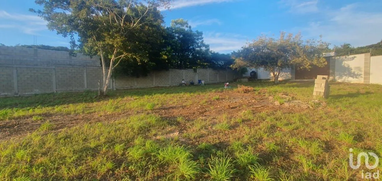 Terreno en Venta en Berriozabal Centro, Berriozábal, Chiapas | NEX-235259 | iad México | Foto 8 de 10