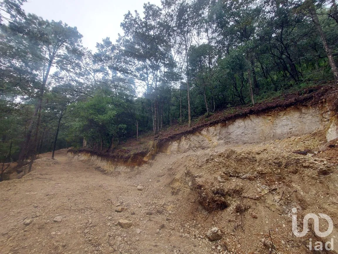 Terreno en Venta en Kaltic, San Cristóbal de las Casas, Chiapas | NEX-246084 | iad México | Foto 1 de 4