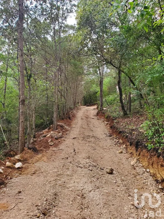 Terreno en Venta en Kaltic, San Cristóbal de las Casas, Chiapas | NEX-246084 | iad México | Foto 3 de 4
