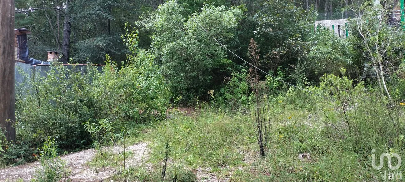 Terreno en Venta en Real del Monte, San Cristóbal de las Casas, Chiapas | NEX-259777 | iad México | Foto 3 de 4
