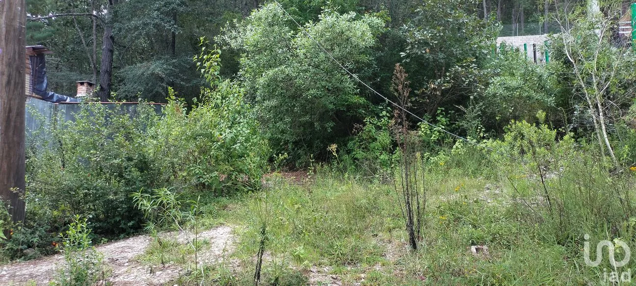 Terreno en Venta en Real del Monte, San Cristóbal de las Casas, Chiapas | NEX-259777 | iad México | Foto 4 de 4