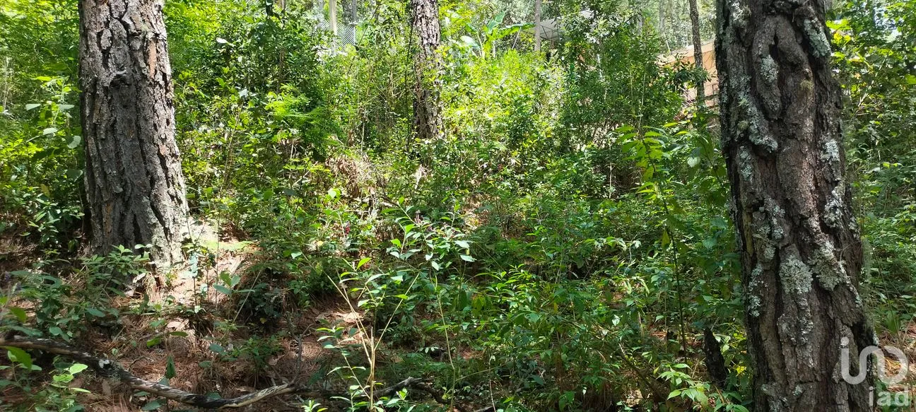 Terreno en Venta en Real del Monte, San Cristóbal de las Casas, Chiapas | NEX-259777 | iad México | Foto 1 de 4