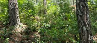 NEX-259777 - Terreno en Venta en Real del Monte, CP 29299, Chiapas.