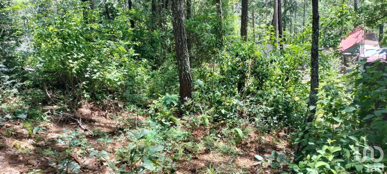 Terreno en Venta en Corral de Piedra, San Cristóbal de las Casas, Chiapas | NEX-260218 | iad México | Foto 1 de 2