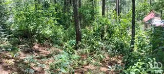 NEX-260218 - Terreno en Venta en Corral de Piedra, CP 29299, Chiapas.