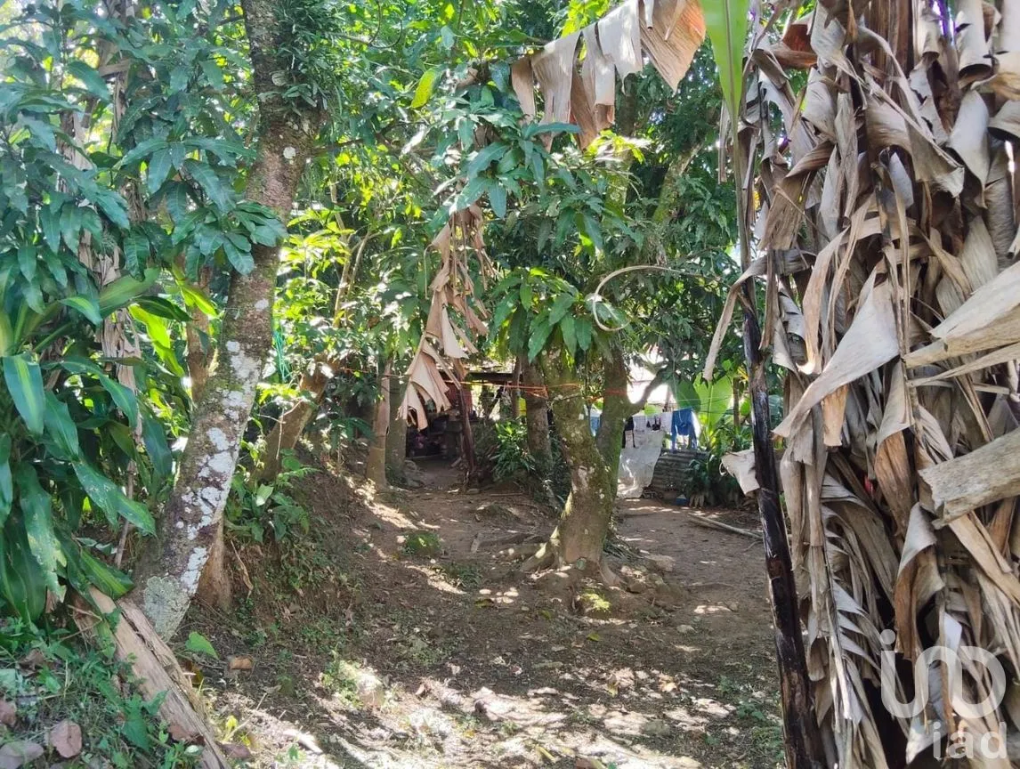 Casa en Venta en Yajalón Centro, Yajalón, Chiapas | NEX-283906 | iad México | Foto 18 de 32