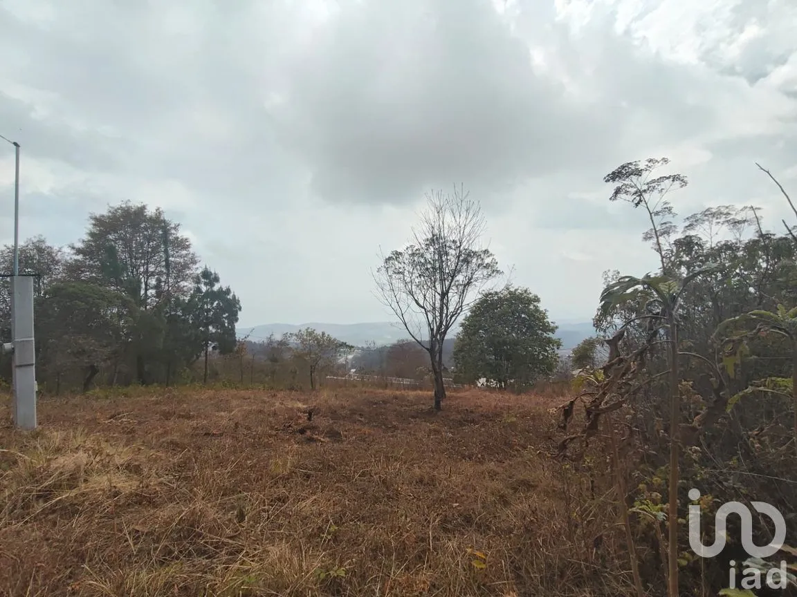 Terreno en Venta en Zacualpan de Ecatepec, San Cristóbal de las Casas, Chiapas | NEX-295161 | iad México | Foto 2 de 7