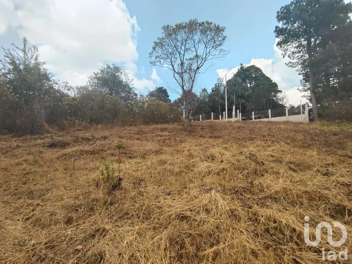 Terreno en Venta en Zacualpan de Ecatepec, San Cristóbal de las Casas, Chiapas | NEX-295161 | iad México | Foto 3 de 7