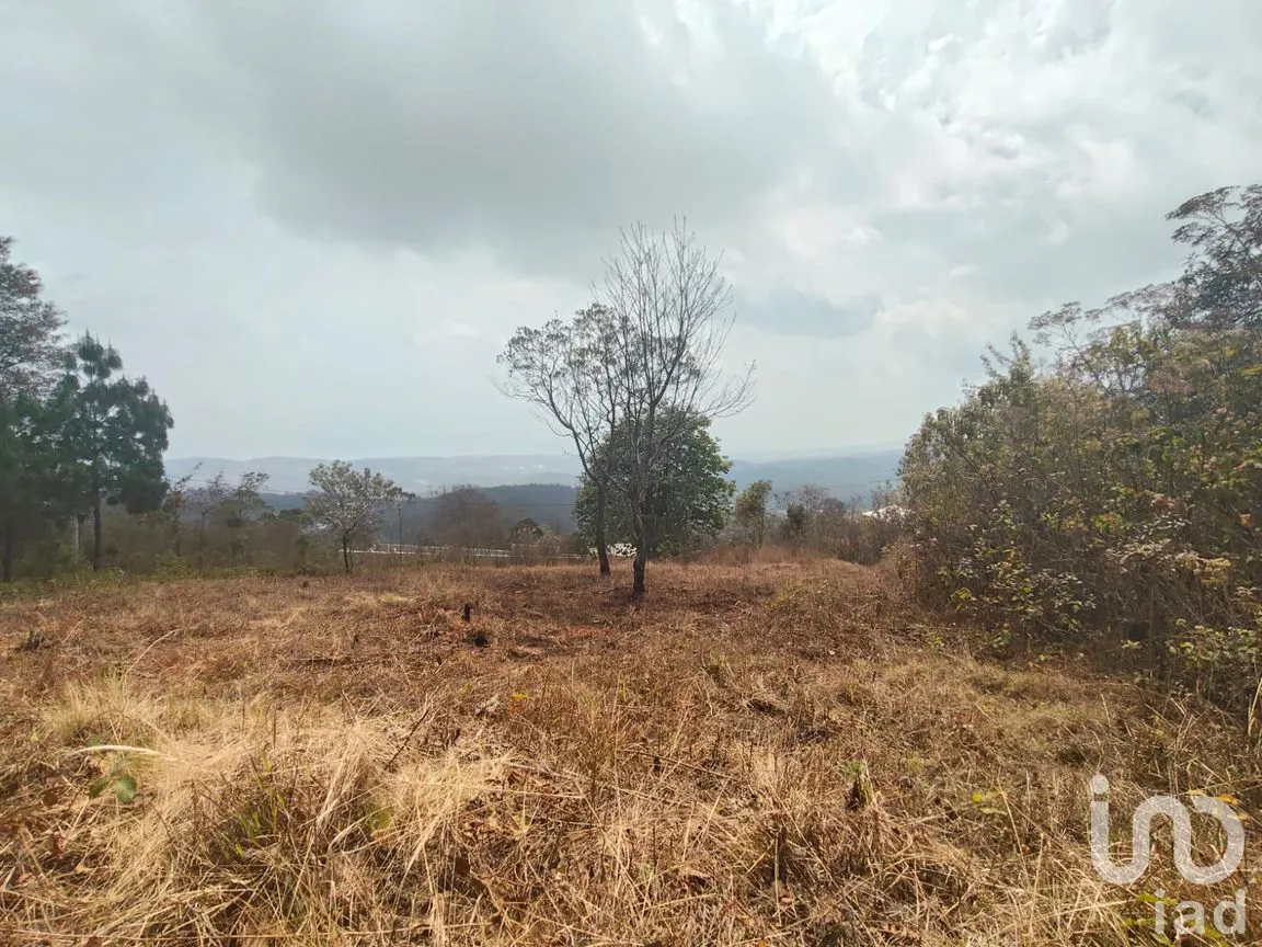 Terreno en Venta en Zacualpan de Ecatepec, San Cristóbal de las Casas, Chiapas | NEX-295161 | iad México | Foto 4 de 7