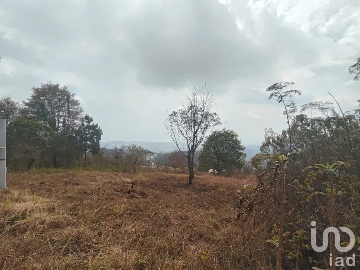 Terreno en Venta en Zacualpan de Ecatepec, San Cristóbal de las Casas, Chiapas | NEX-295161 | iad México | Foto 5 de 7