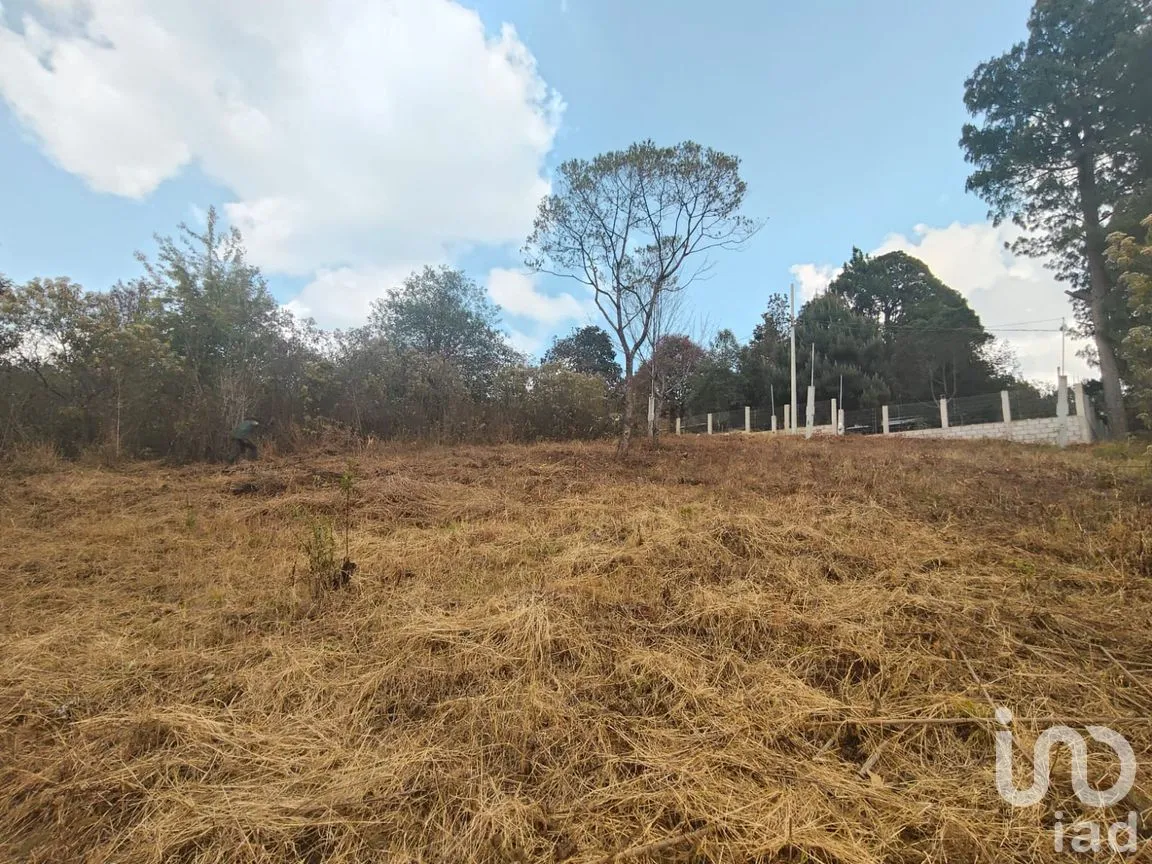 Terreno en Venta en Zacualpan de Ecatepec, San Cristóbal de las Casas, Chiapas | NEX-295161 | iad México | Foto 6 de 7