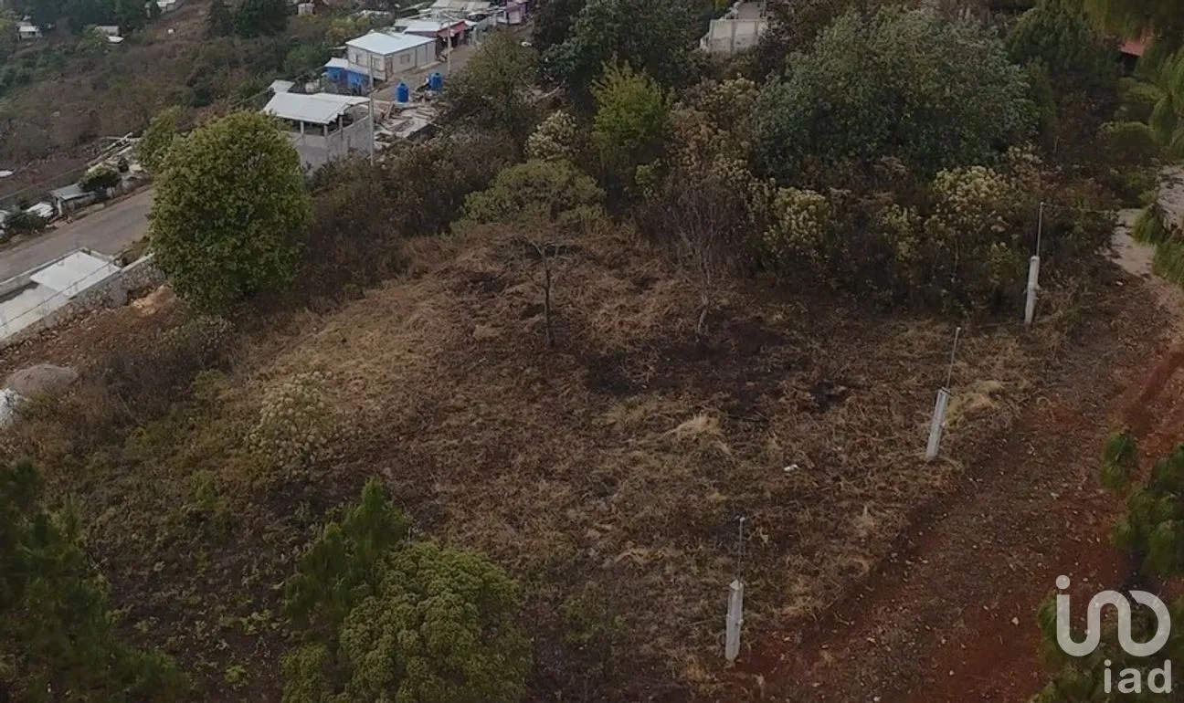 Terreno en Venta en Zacualpan de Ecatepec, San Cristóbal de las Casas, Chiapas | NEX-295161 | iad México | Foto 7 de 7