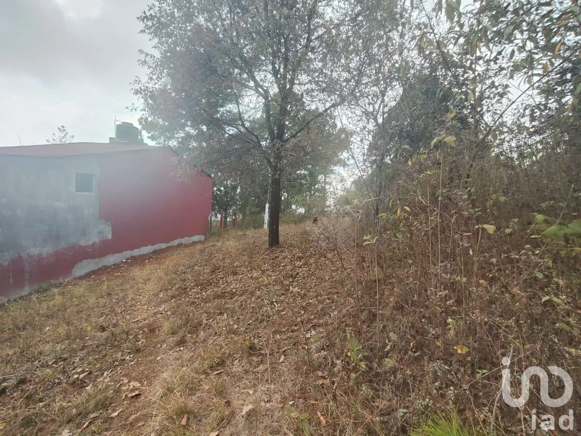 Terreno en Venta en Zacualpan de Ecatepec, San Cristóbal de las Casas, Chiapas | NEX-295163 | iad México | Foto 2 de 7