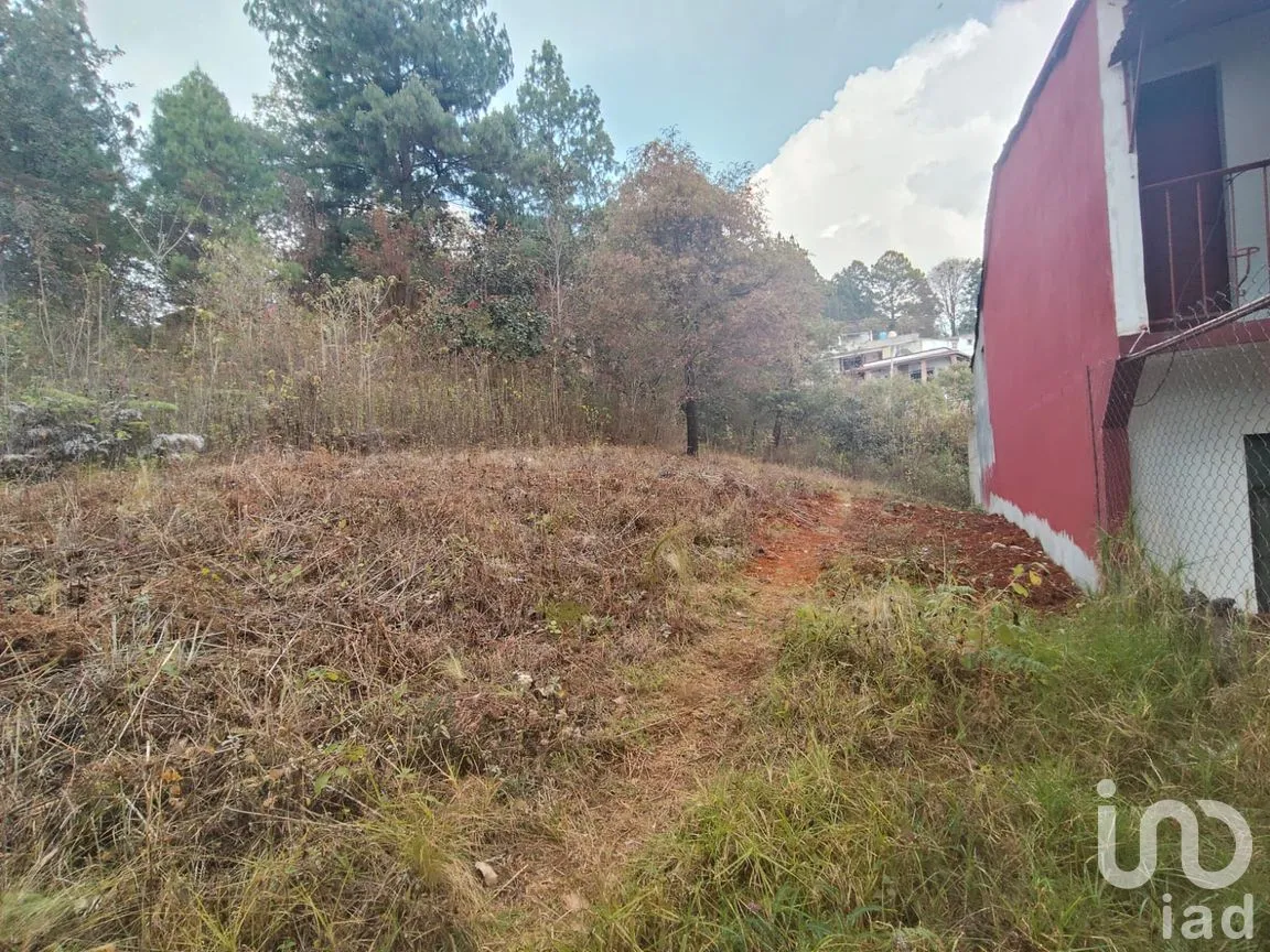 Terreno en Venta en Zacualpan de Ecatepec, San Cristóbal de las Casas, Chiapas | NEX-295163 | iad México | Foto 3 de 7