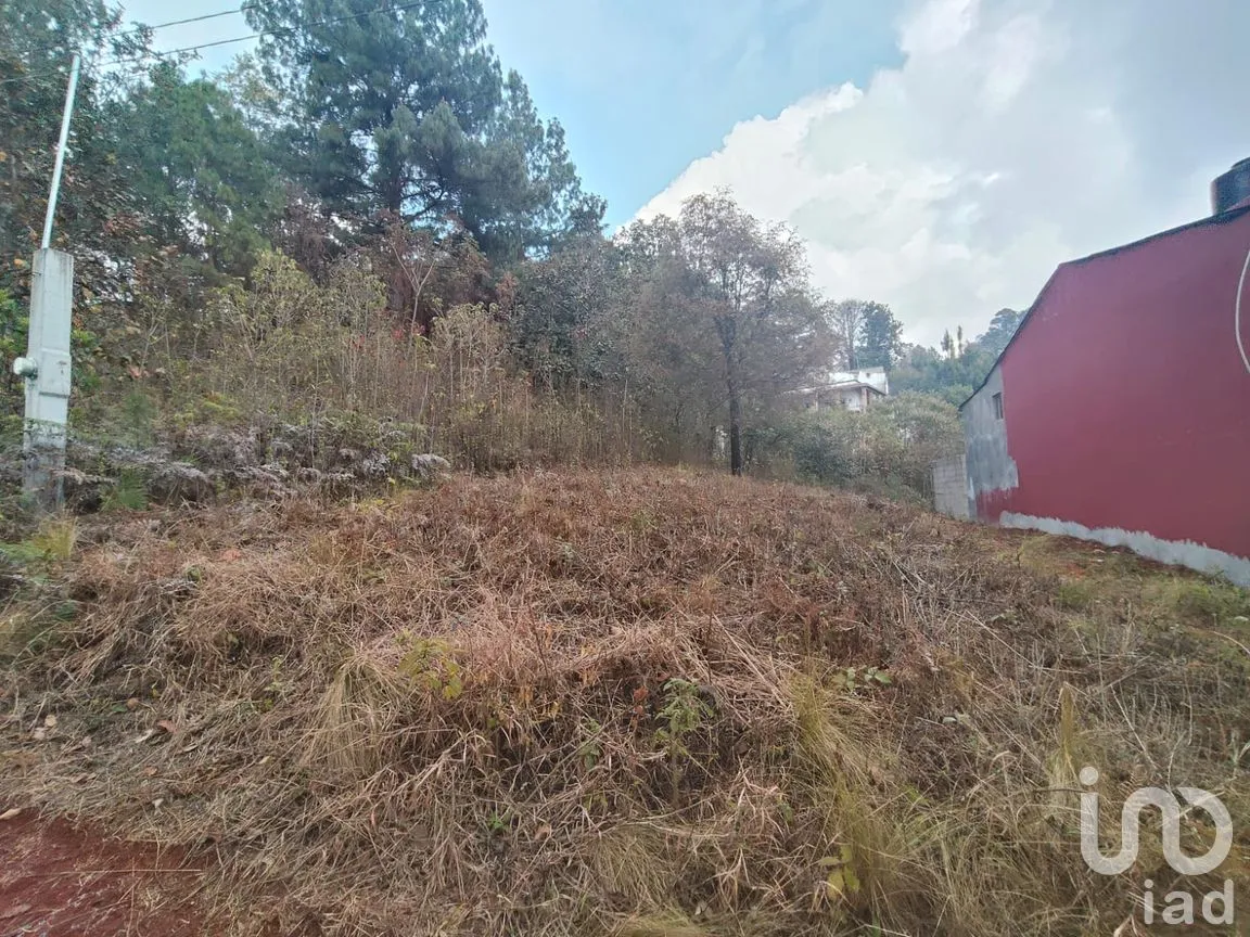 Terreno en Venta en Zacualpan de Ecatepec, San Cristóbal de las Casas, Chiapas | NEX-295163 | iad México | Foto 4 de 7