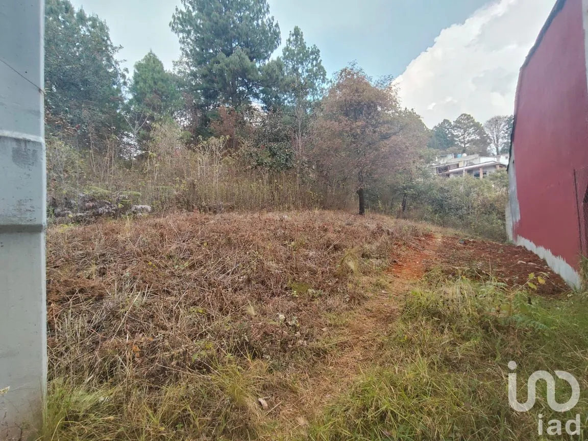 Terreno en Venta en Zacualpan de Ecatepec, San Cristóbal de las Casas, Chiapas | NEX-295163 | iad México | Foto 5 de 7