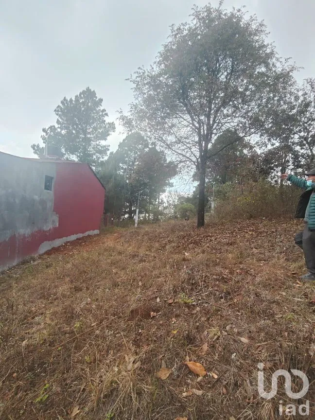 Terreno en Venta en Zacualpan de Ecatepec, San Cristóbal de las Casas, Chiapas | NEX-295163 | iad México | Foto 1 de 7