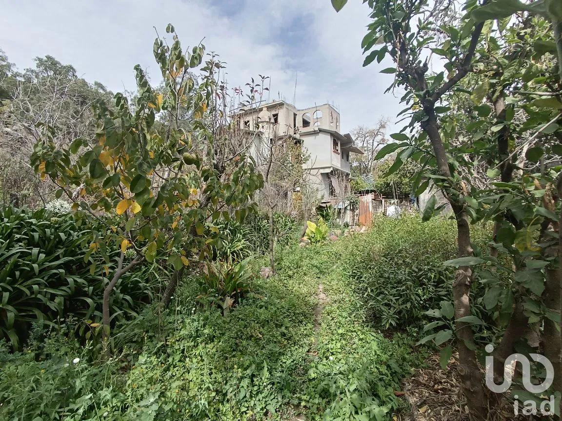 Terreno en Venta en La Purificación Tepetitla, Texcoco, México | NEX-240152 | iad México | Foto 2 de 10