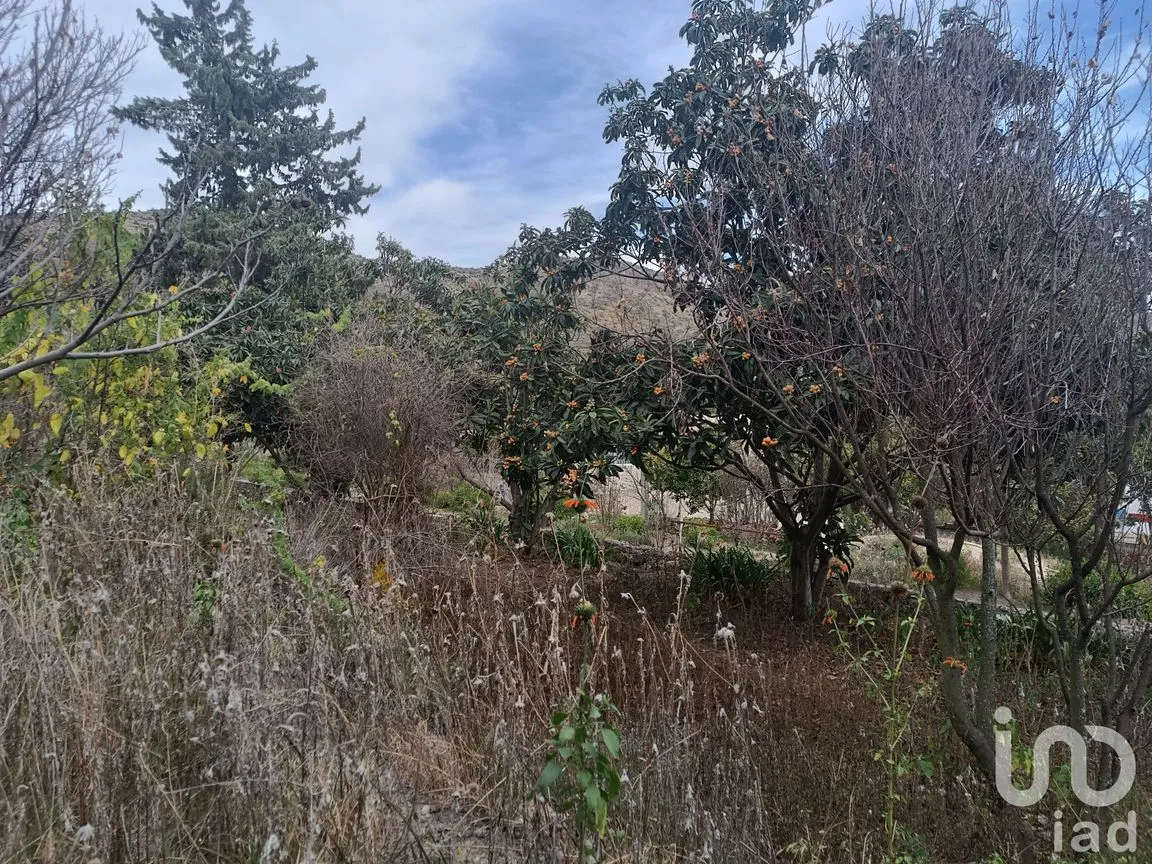 Terreno en Venta en La Purificación Tepetitla, Texcoco, México | NEX-240152 | iad México | Foto 4 de 10