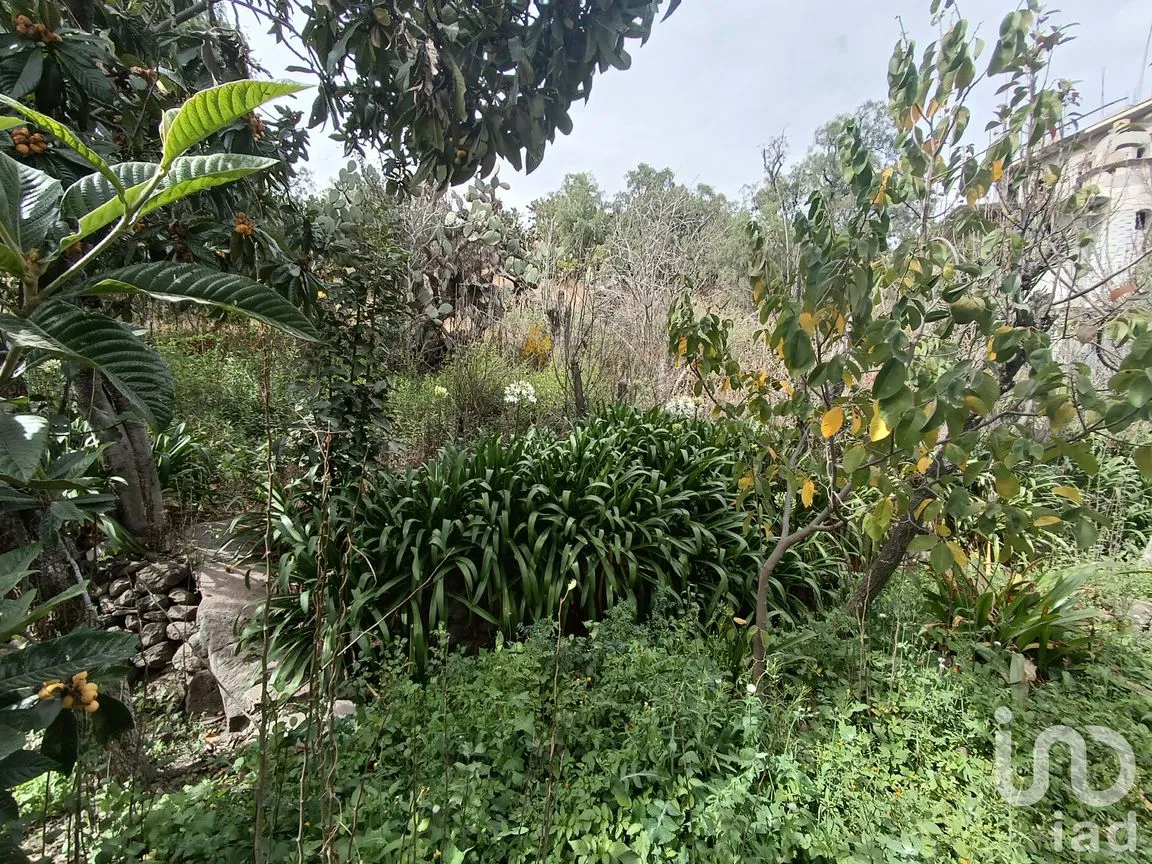 Terreno en Venta en La Purificación Tepetitla, Texcoco, México | NEX-240152 | iad México | Foto 1 de 10