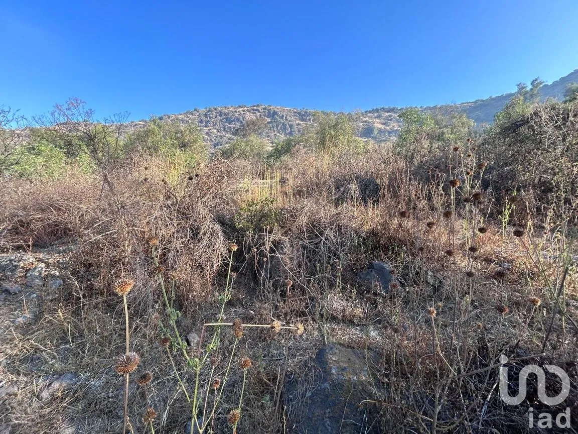 Terreno en Venta en La Purificación Tepetitla, Texcoco, México | NEX-292578 | iad México | Foto 1 de 5