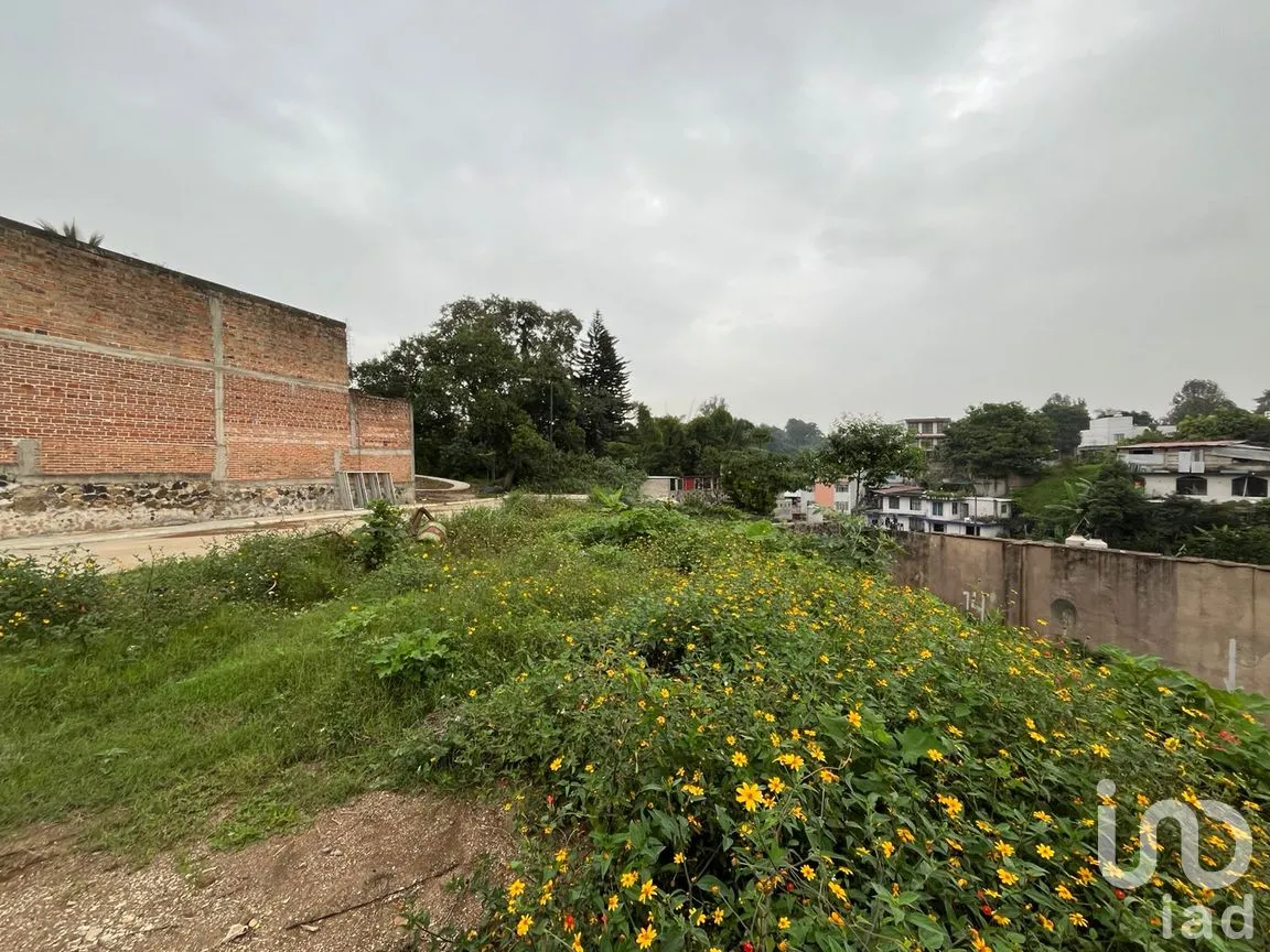 Terreno en Venta en Coatepec Centro, Coatepec, Veracruz de Ignacio de la Llave | NEX-265987 | iad México | Foto 1 de 6