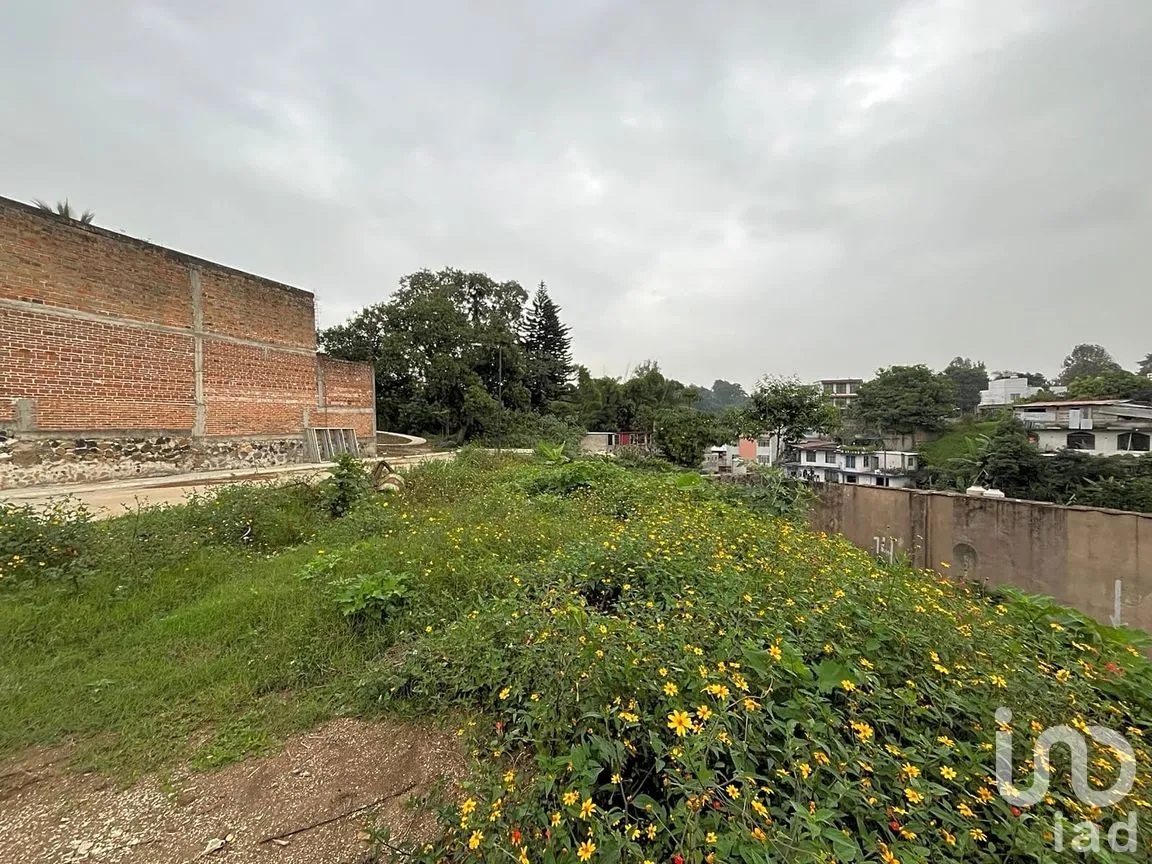Terreno en Venta en Coatepec Centro, Coatepec, Veracruz de Ignacio de la Llave | NEX-265989 | iad México | Foto 4 de 6