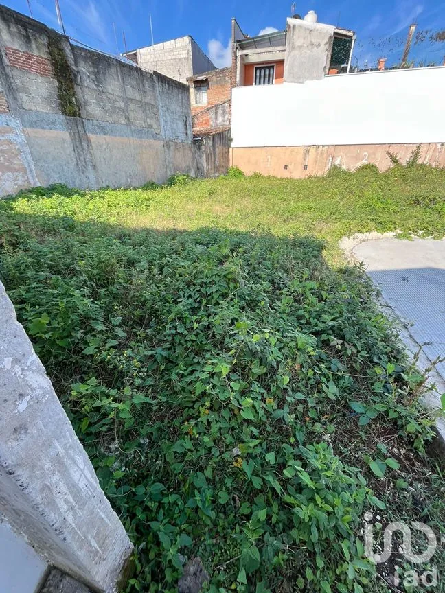 Terreno en Venta en Coatepec Centro, Coatepec, Veracruz de Ignacio de la Llave | NEX-265990 | iad México | Foto 2 de 6