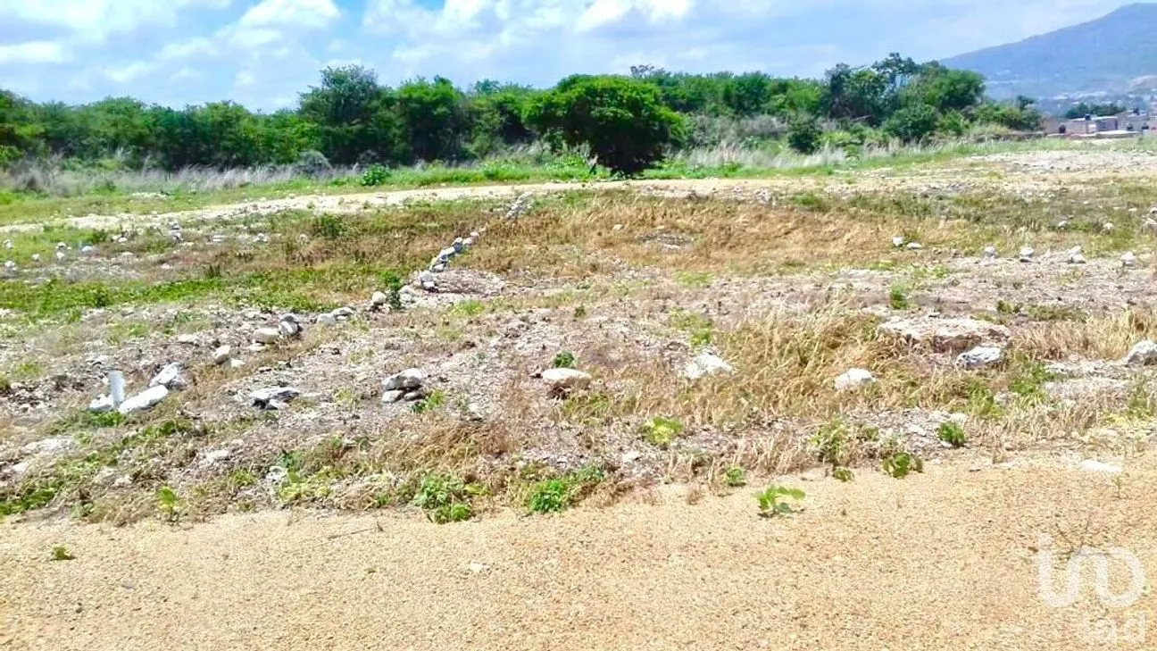 Terreno en Venta en Plan de Ayala, Tuxtla Gutiérrez, Chiapas | NEX-234356 | iad México | Foto 8 de 9