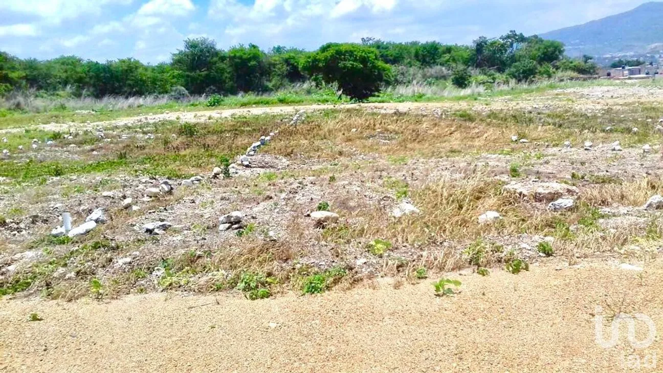 Terreno en Venta en Plan de Ayala, Tuxtla Gutiérrez, Chiapas | NEX-252706 | iad México | Foto 2 de 6