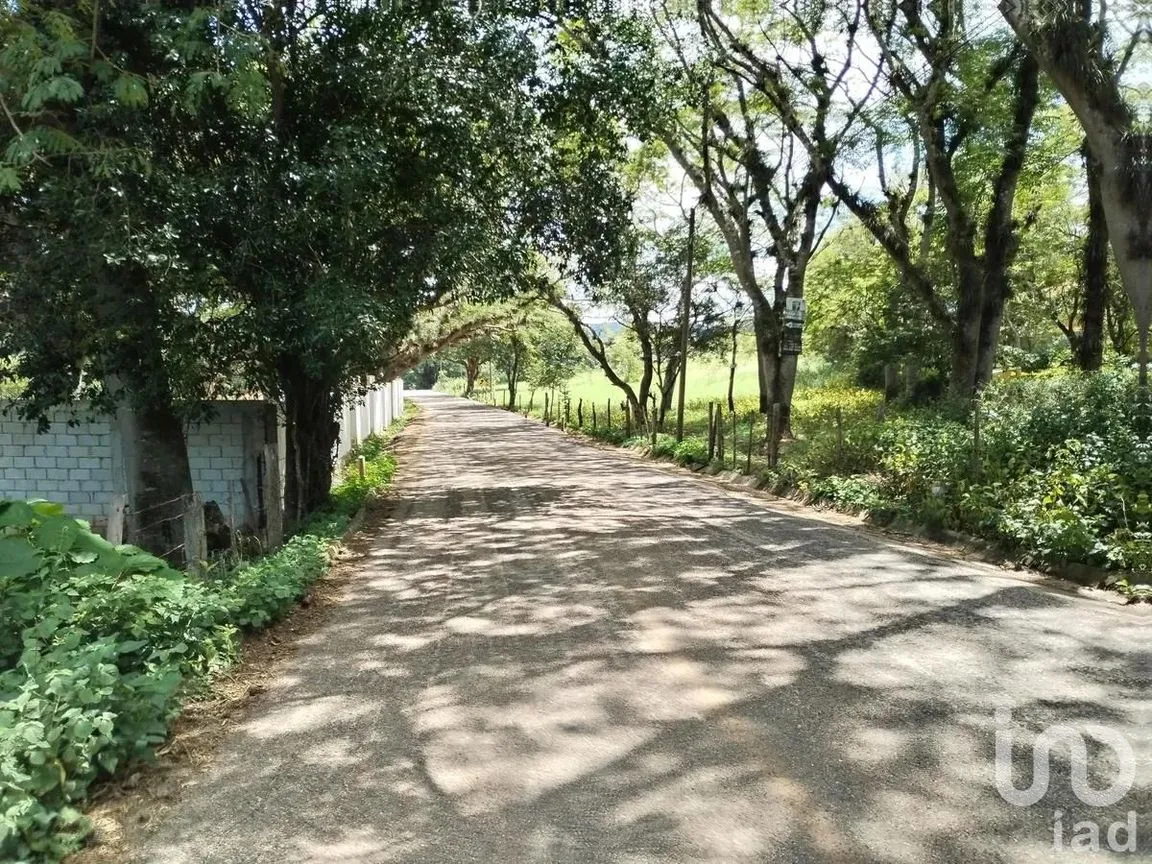 Terreno en Venta en Don Ventura, San Fernando, Chiapas | NEX-253023 | iad México | Foto 3 de 14