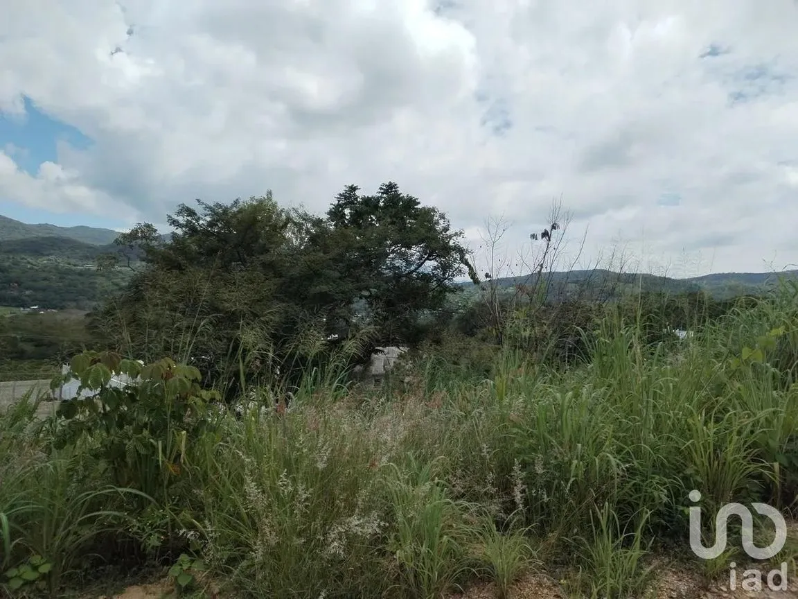 Terreno en Venta en Don Ventura, San Fernando, Chiapas | NEX-253023 | iad México | Foto 6 de 14