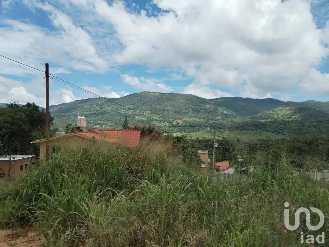 Terreno en Venta en Don Ventura, San Fernando, Chiapas | NEX-253023 | iad México | Foto 8 de 14
