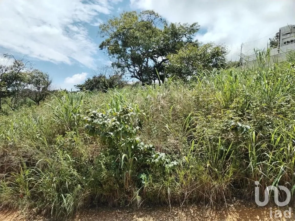 Terreno en Venta en Don Ventura, San Fernando, Chiapas | NEX-253023 | iad México | Foto 10 de 14