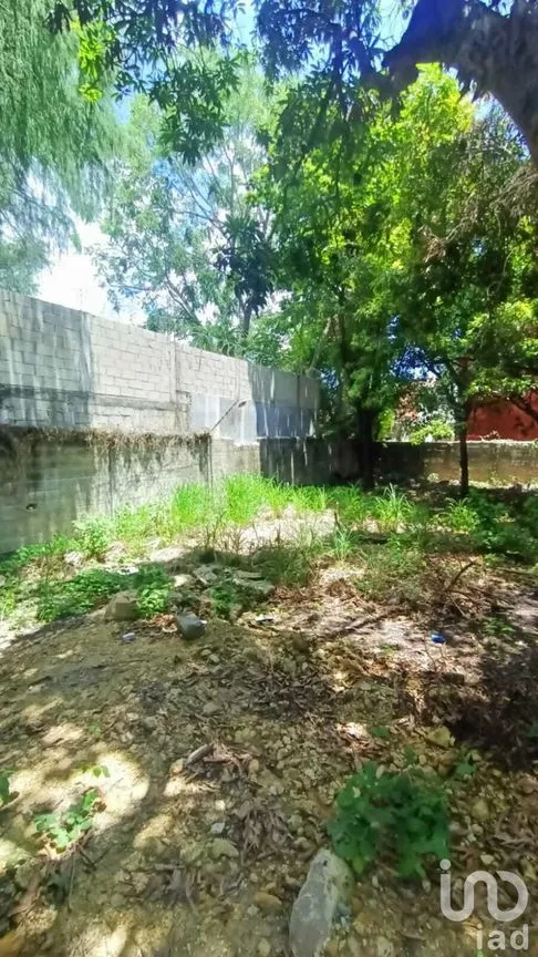 Terreno en Venta en Plan de Ayala, Tuxtla Gutiérrez, Chiapas | NEX-253027 | iad México | Foto 3 de 6