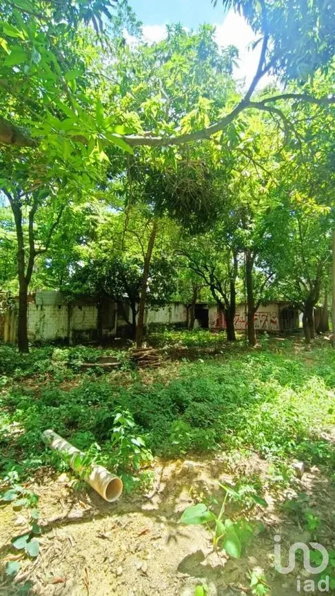 Terreno en Venta en Plan de Ayala, Tuxtla Gutiérrez, Chiapas | NEX-253027 | iad México | Foto 6 de 6