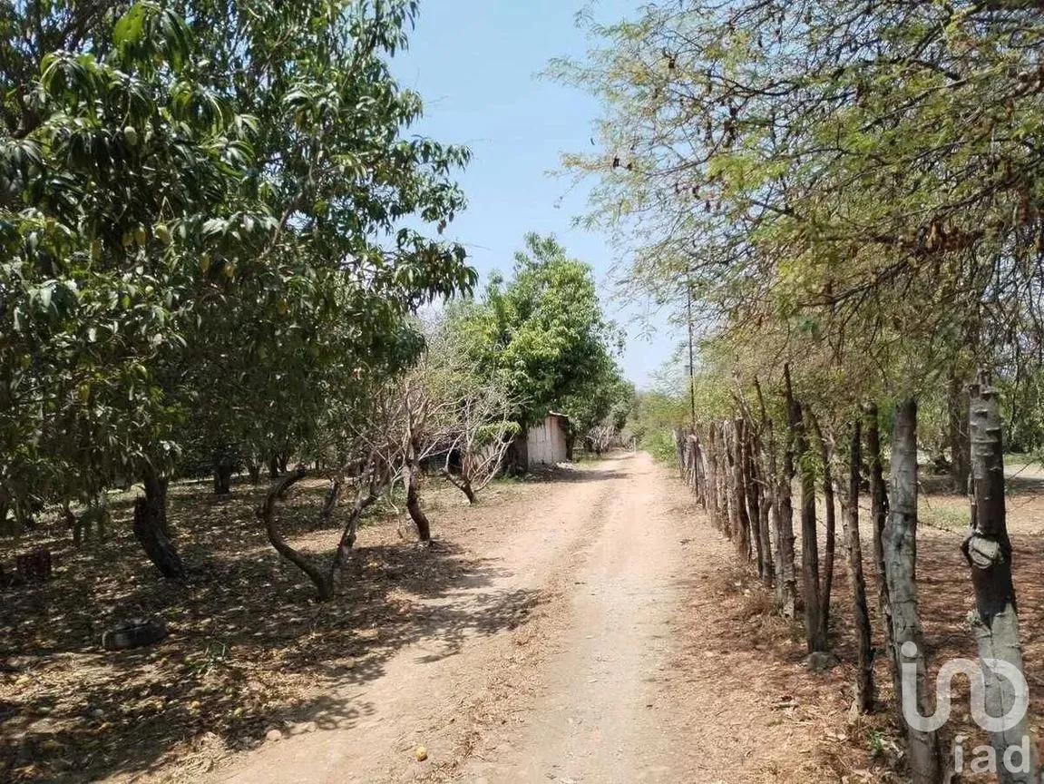 Terreno en Venta en Nandambua 1a Sección, Chiapa de Corzo, Chiapas | NEX-253034 | iad México | Foto 4 de 10