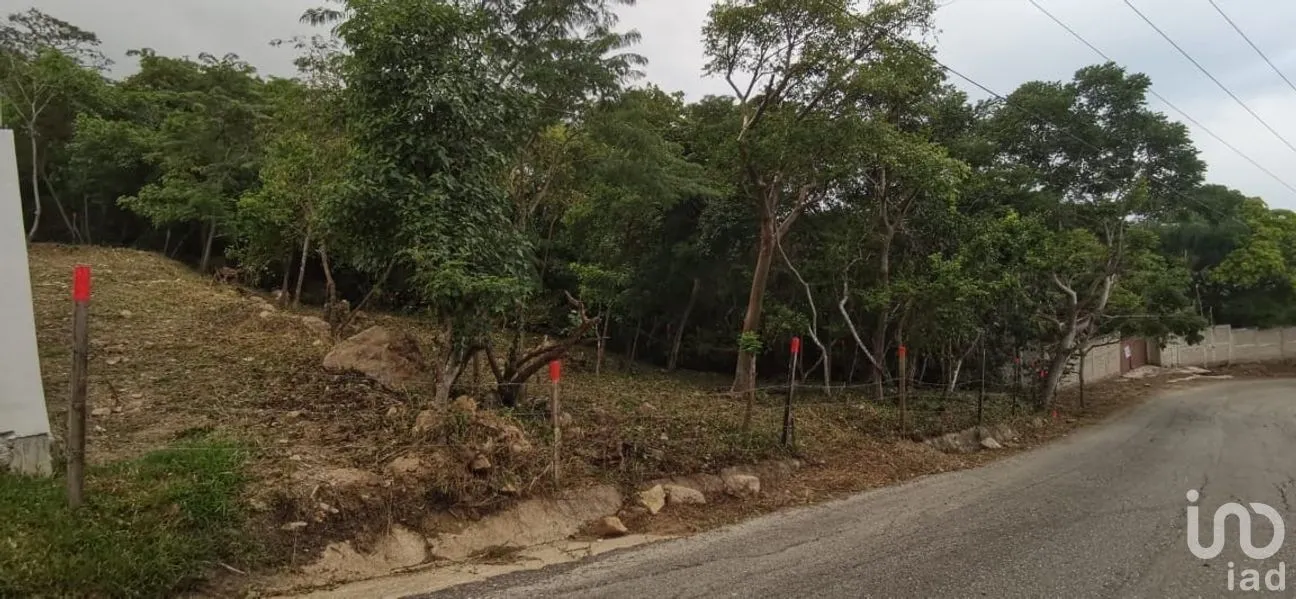 Terreno en Venta en Matumatza, Tuxtla Gutiérrez, Chiapas | NEX-260691 | iad México | Foto 2 de 9