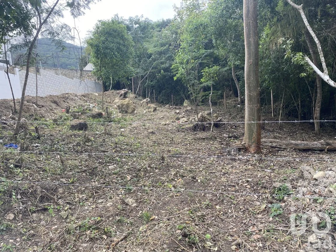 Terreno en Venta en Matumatza, Tuxtla Gutiérrez, Chiapas | NEX-260691 | iad México | Foto 4 de 9