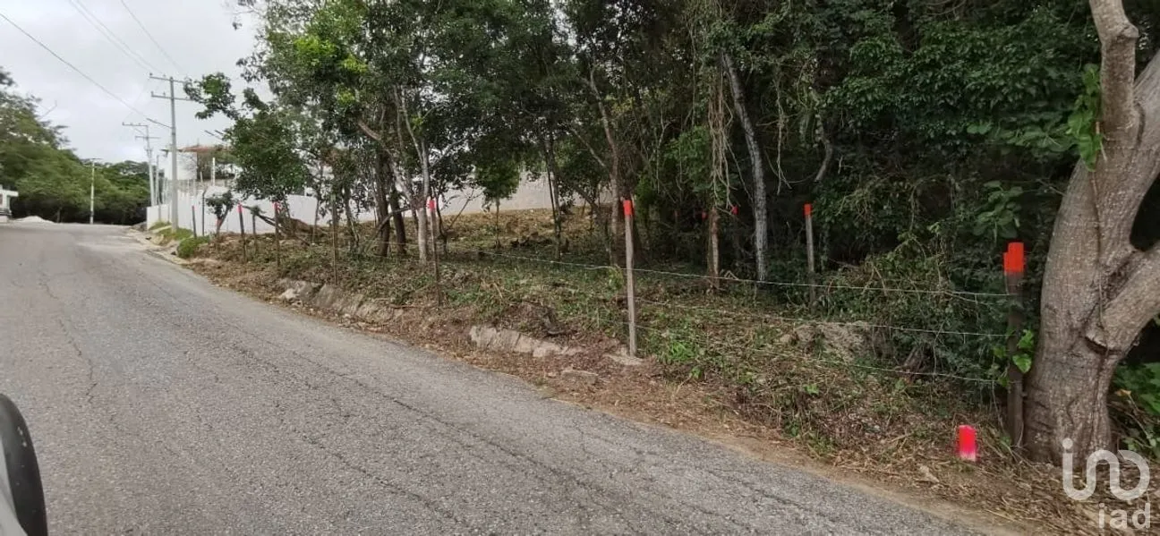 Terreno en Venta en Matumatza, Tuxtla Gutiérrez, Chiapas | NEX-260691 | iad México | Foto 6 de 9