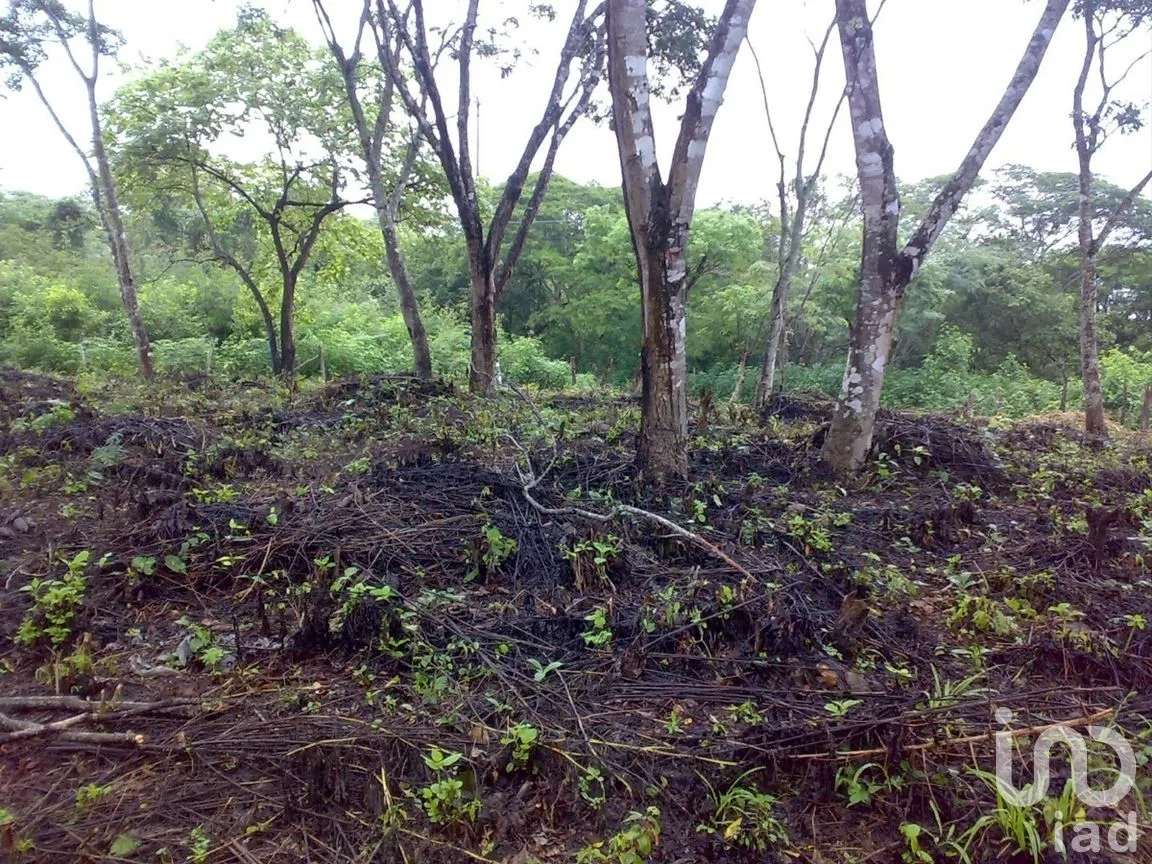 Terreno en Venta en Lomas de Mactumatza, Tuxtla Gutiérrez, Chiapas | NEX-260696 | iad México | Foto 2 de 6