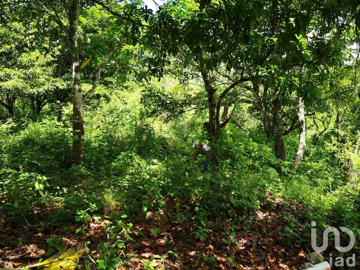 Terreno en Venta en Lomas de Mactumatza, Tuxtla Gutiérrez, Chiapas | NEX-260696 | iad México | Foto 3 de 6